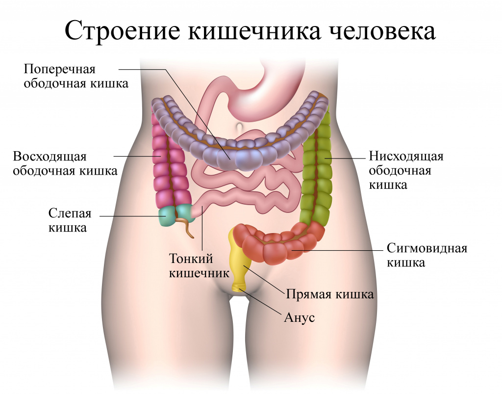 Синдром раздраженного кишечника (СРК)